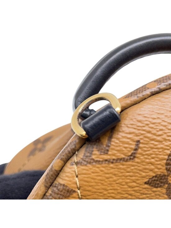 Louis Vuitton Backpack Monogram Reverse Palm Springs Mini Bag main image 8